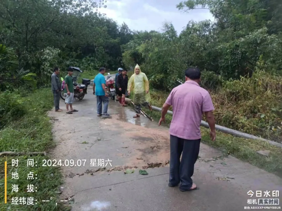 1726644200364044309.jpg 1726644200364044309.jpg