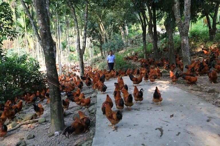 1733300542855092176.jpg 1733300542855092176.jpg