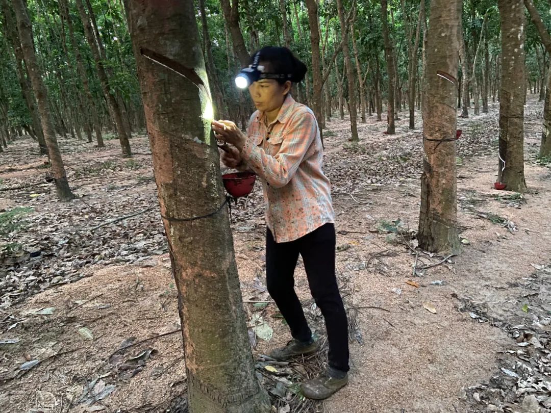 1747614968166045175.jpg 1747614968166045175.jpg