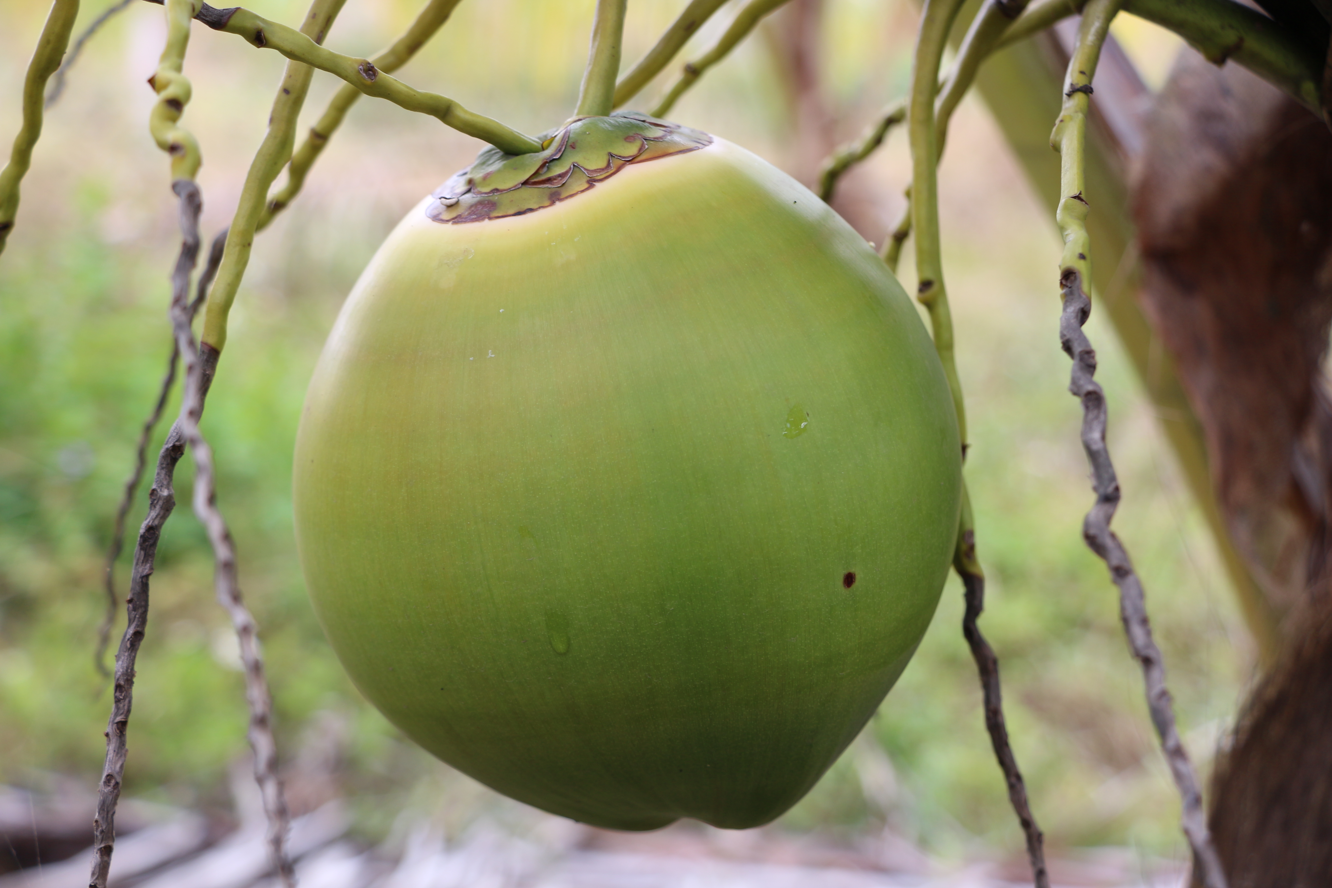 1747617694506036346.jpg 1747617694506036346.jpg