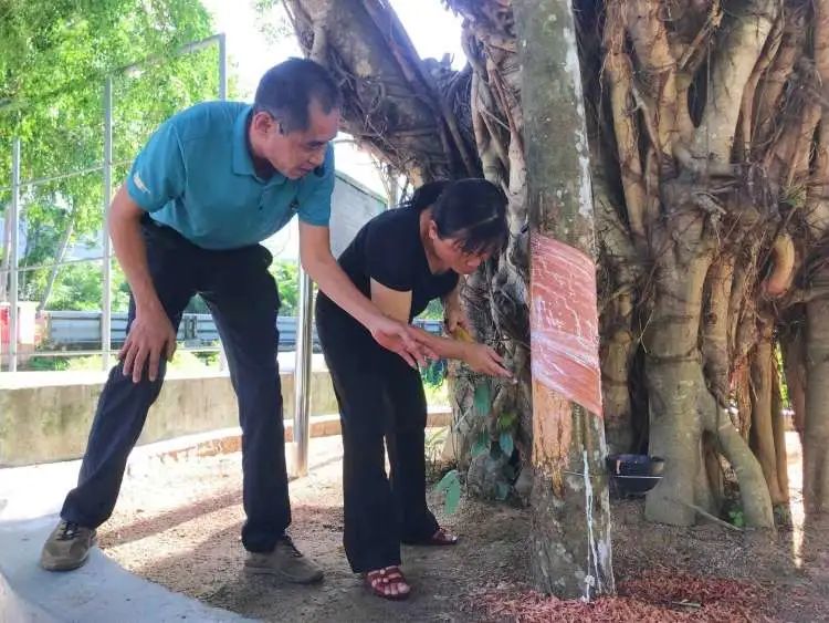 1699923235031076736.jpg 1699923235031076736.jpg